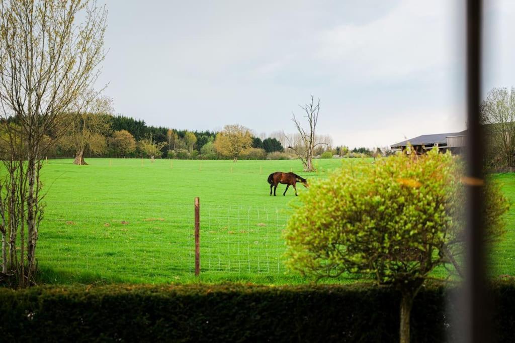 Gite La Dame Au Lit Gite A La Ferme Momignies Exterior foto