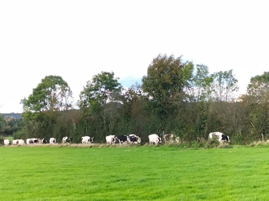 Gite La Dame Au Lit Gite A La Ferme Momignies Exterior foto