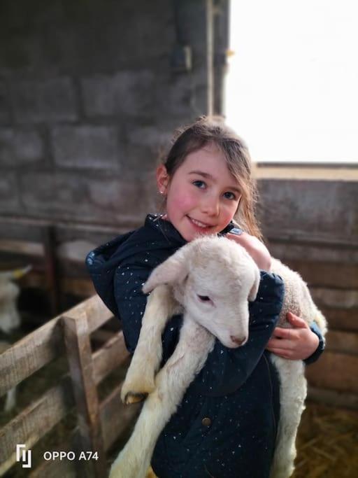 Gite La Dame Au Lit Gite A La Ferme Momignies Exterior foto
