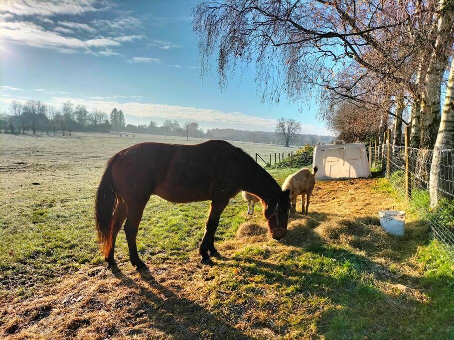 Gite La Dame Au Lit Gite A La Ferme Momignies Exterior foto