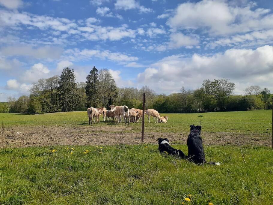Gite La Dame Au Lit Gite A La Ferme Momignies Exterior foto